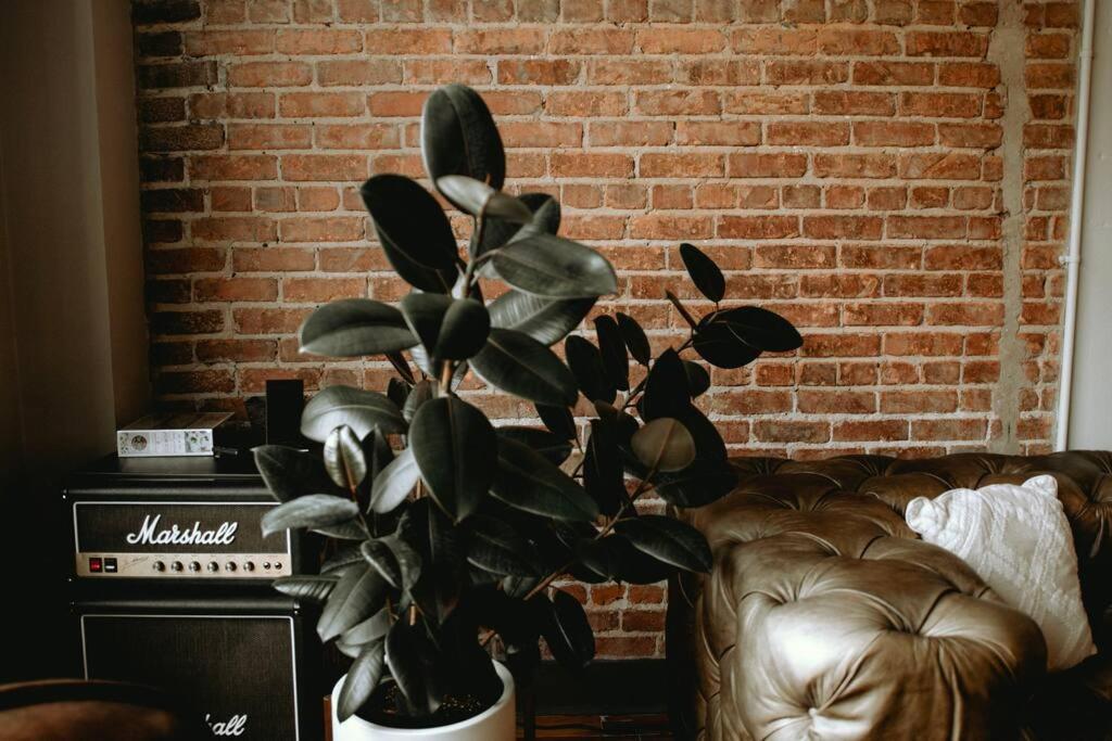 The 511. A Luxury Loft On State St. Apartment Bristol Luaran gambar